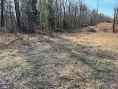 9665 Docs Pl, La Plata, MD 20646 photo 4