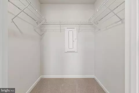 155 Soft Rush Ln, La Plata, MD 20646 photo 33