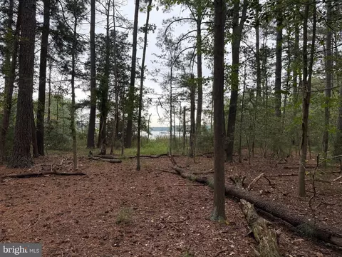 14680 Bar Harbor Ct, Issue, MD 20645 photo 3