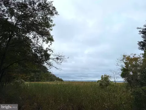 14985 Persimmon Ct, Issue, MD 20645