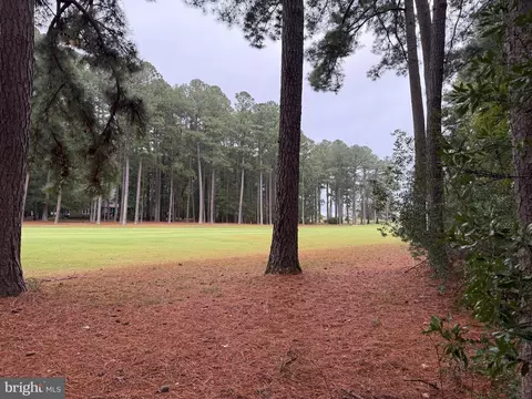 14975 Persimmon Ct, Issue, MD 20645