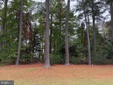 14975 Persimmon Ct, Issue, MD 20645 photo 2