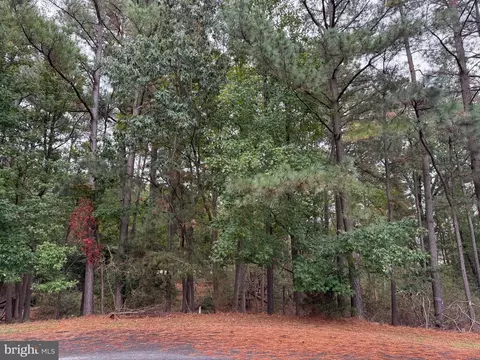 14975 Persimmon Ct, Issue, MD 20645 photo 3