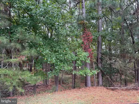 14975 Persimmon Ct, Issue, MD 20645 photo 4