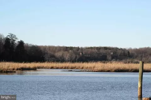 Tayloes Neck Road, Nanjemoy, MD 20662