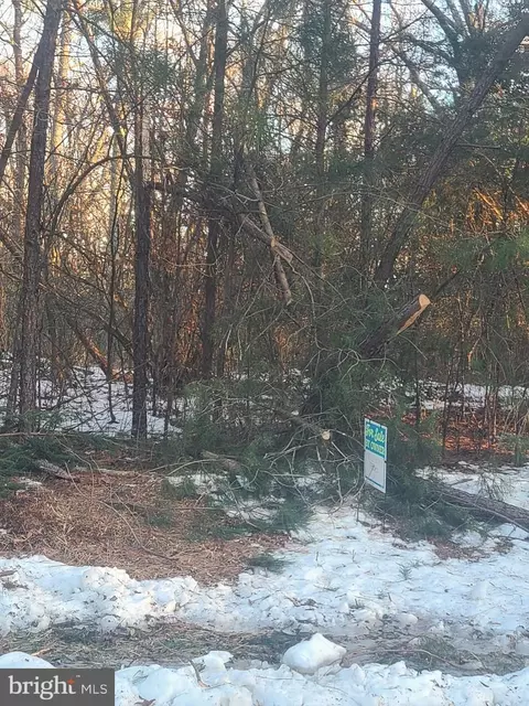 Shiloh Church Road, Newburg, MD 20664