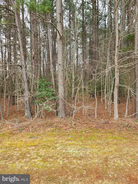 Marie Road, Newburg, MD 20664