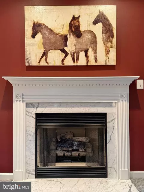 Other - 14890 Ivanhoe Ct, Issue, MD 20645 photo 5 of 21