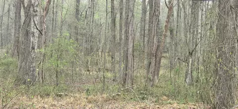 Keech Road, Charlotte Hall, MD 20622