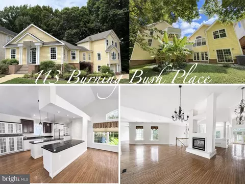 113 Burning Bush Pl, La Plata, MD 20646