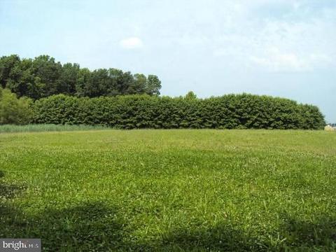 24937 Branfields Dr, Ridgely, MD 21660 photo 2