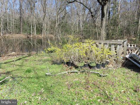 403 Caroline St, Denton, MD 21629 photo 13