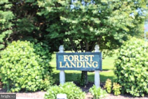 8286 Laurel Ln, Denton, MD 21629 photo 43