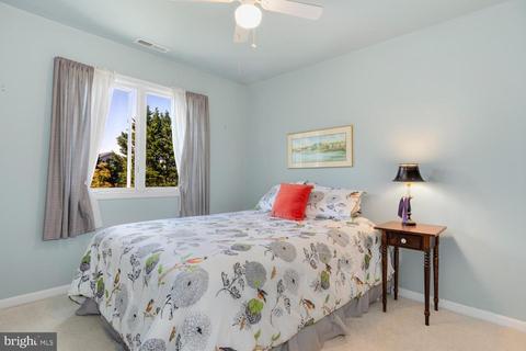8286 Laurel Ln, Denton, MD 21629 photo 38