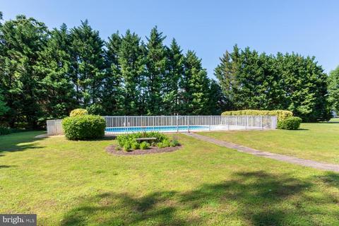 8286 Laurel Ln, Denton, MD 21629 photo 12