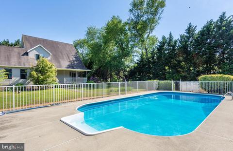 8286 Laurel Ln, Denton, MD 21629 photo 15
