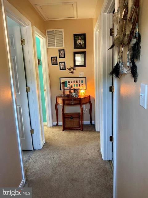 1302 Chesapeake Dr, Denton, MD 21629 photo 17