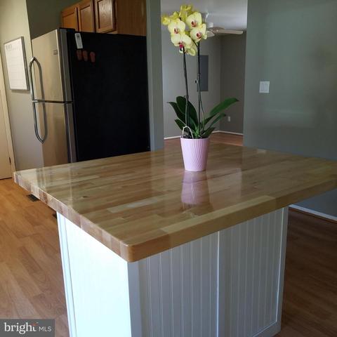 5460 Bethlehem Rd, Preston, MD 21655 photo 9