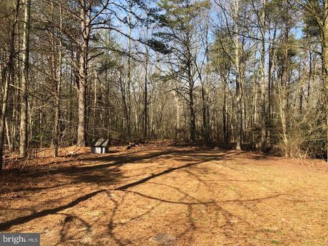 17878 Marvel Rd, Marydel, MD 21649 photo 19