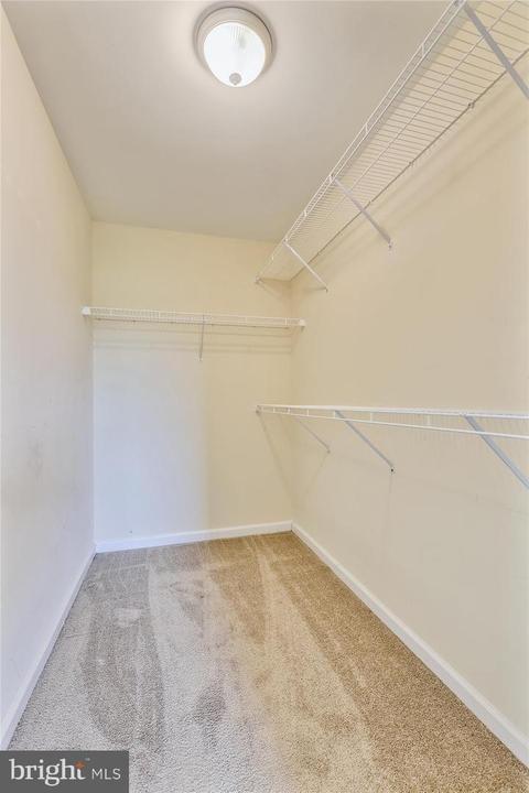 10848 Red Maple Dr, Denton, MD 21629 photo 22
