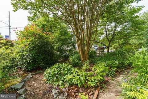211 Central, Ridgely, MD 21660 photo 38