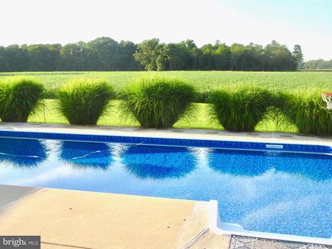 3334 Choptank Rd, Preston, MD 21655 photo 29