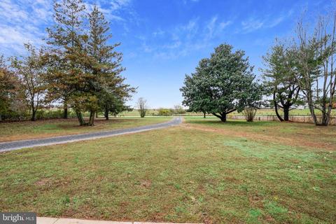 10819 River Rd, Denton, MD 21629 photo 45