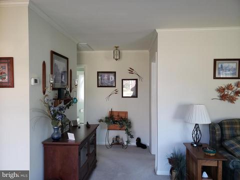 114 Siesta Dr, Denton, MD 21629 photo 22