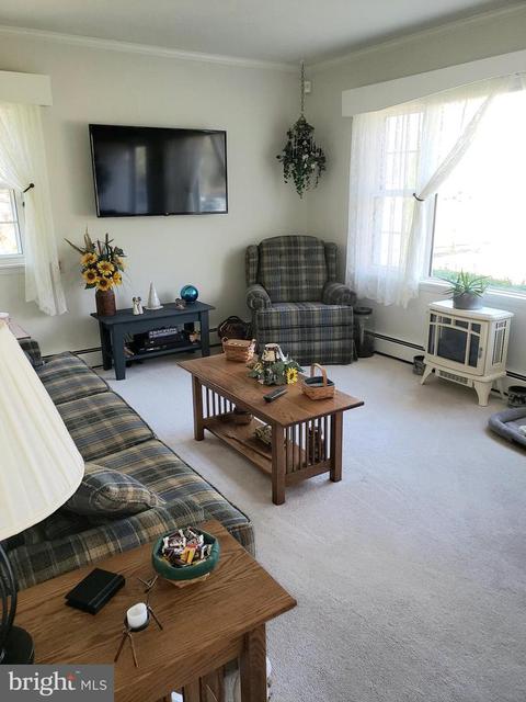 114 Siesta Dr, Denton, MD 21629 photo 21