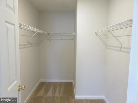 1102 Canvasback Ln, Denton, MD 21629 photo 22