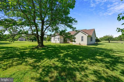 24659 Williston Rd, Denton, MD 21629 photo 23