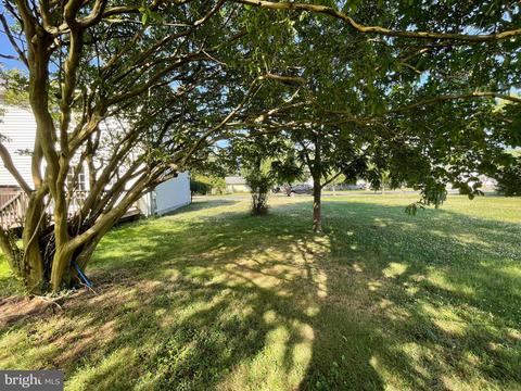 405 Maple Ave, Ridgely, MD 21660 photo 15