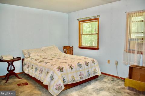 8060 Detour Rd, Denton, MD 21629 photo 21