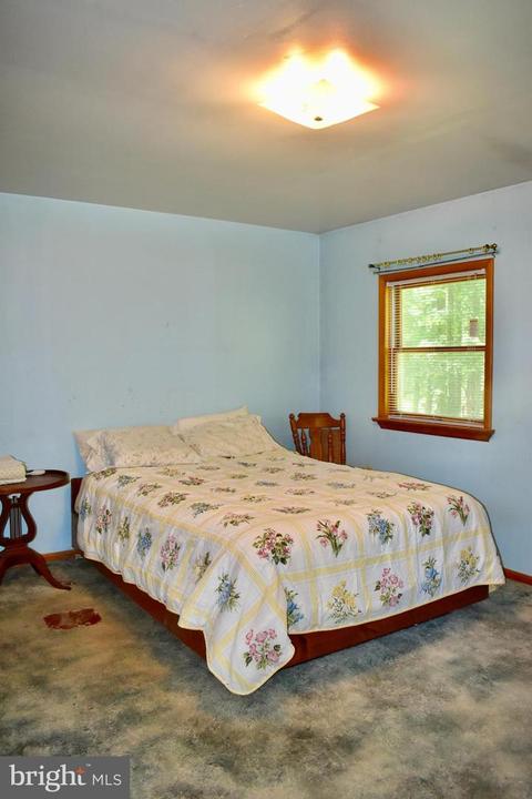 8060 Detour Rd, Denton, MD 21629 photo 18