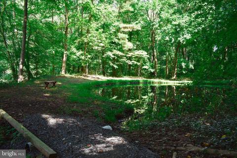 8060 Detour Rd, Denton, MD 21629 photo 31