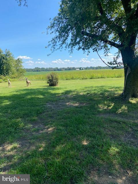 3451 Back Landing Rd, Preston, MD 21655 photo 9