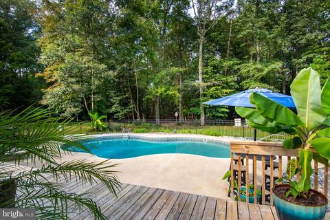 8339 New Bridge Estates Rd, Denton, MD 21629 photo 44