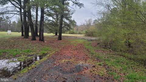 4499 Nelpine Rd, Preston, MD 21655 photo 3