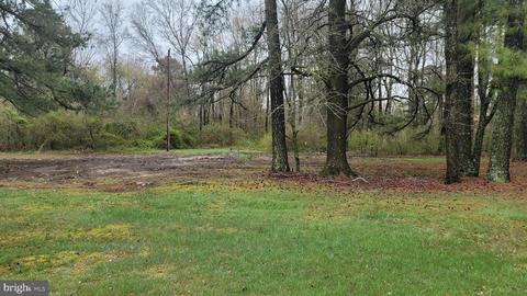 4499 Nelpine Rd, Preston, MD 21655 photo 1