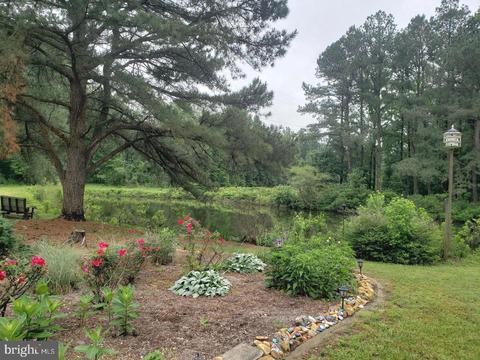 25873 Line Rd, Denton, MD 21629 photo 54