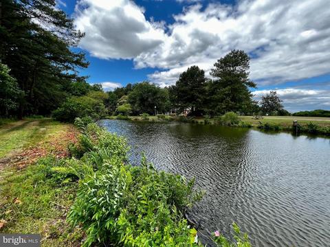 25873 Line Rd, Denton, MD 21629 photo 65