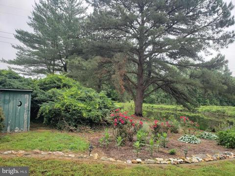 25873 Line Rd, Denton, MD 21629 photo 53