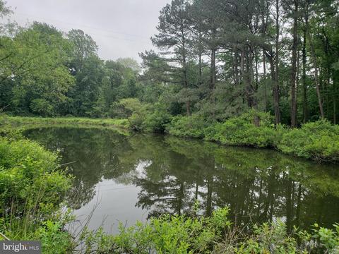 25873 Line Rd, Denton, MD 21629 photo 56