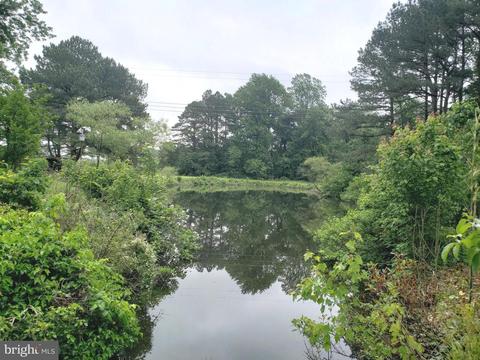 25873 Line Rd, Denton, MD 21629 photo 37