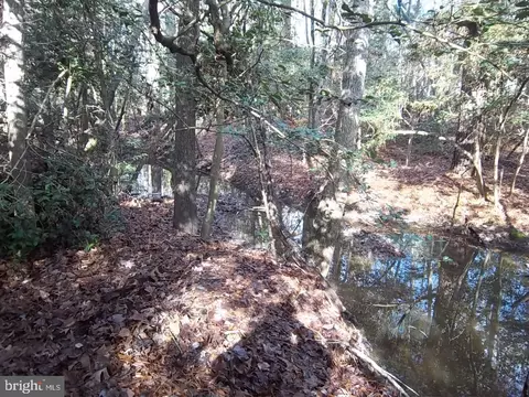 Meadowbrook Road, Federalsburg, MD 21632