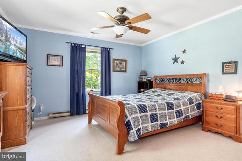 8084 Laurel Ln, Denton, MD 21629 photo 47