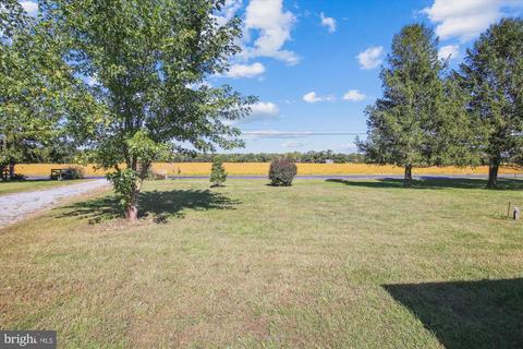26259 Anthony Mill Rd, Denton, MD 21629 photo 6