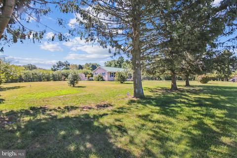 26259 Anthony Mill Rd, Denton, MD 21629 photo 10