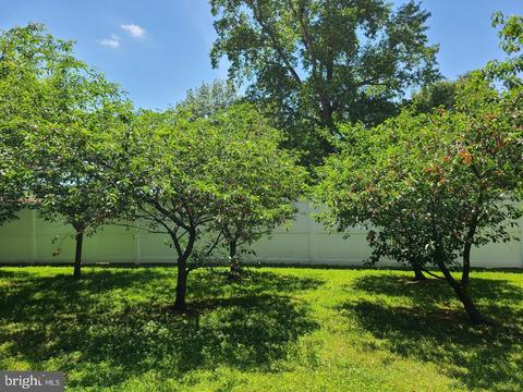 206 S 5th Ave S, Denton, MD 21629 photo 79