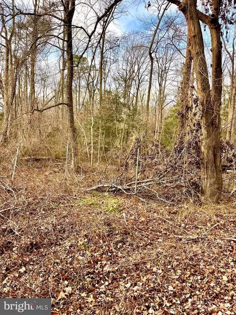 26302 Sennett Rd, Denton, MD 21629 photo 5
